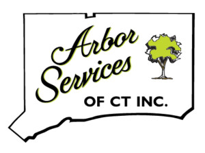 Arbor Services of Connecticut